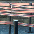 DSC_8295.jpg